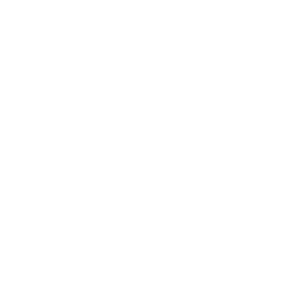 arrow-left-bms